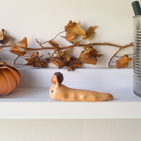 Acorn Slug Desk Pal